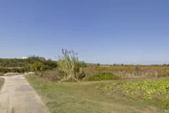 #4760 Terreno agricolo di 5.090 mq