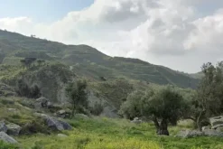 #18172 Terreno agricolo di 55.100 mq