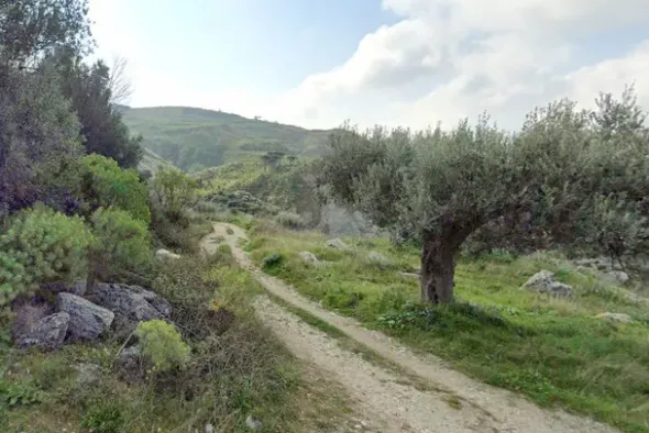 #18172 Terreno agricolo di 55.100 mq