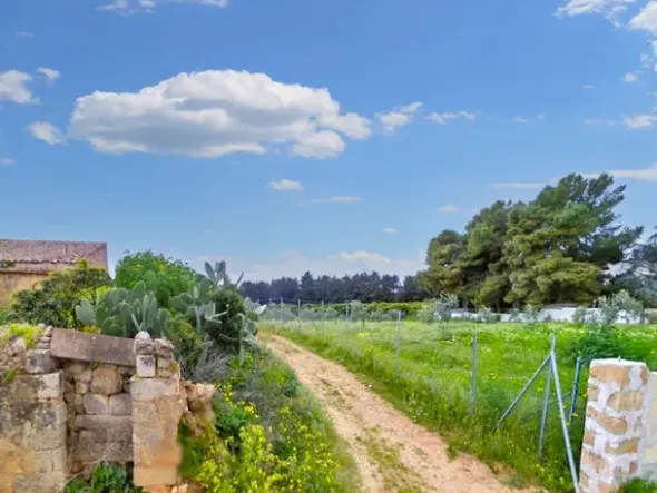 #25844 Terreno agricolo di 26.047 mq coltivato ad agrumeto e oliveto