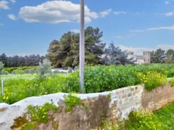 #25844 Terreno agricolo di 26.047 mq coltivato ad agrumeto e oliveto