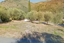 #13116 Terreno agricolo in zona residenziale collinare