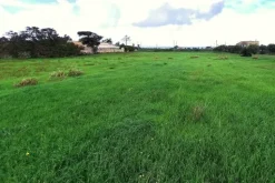 #24972 Terreno agricolo in zona rurale di espansione