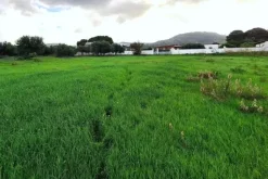 #24972 Terreno agricolo in zona rurale di espansione