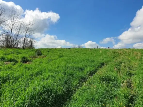 #24789 Terreno a verde privato attrezzato