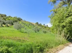 #2536795 Terreno bonificato ex discarica di 5.342 mq