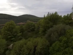 #25104 Terreno boschivo di 480.888 mq