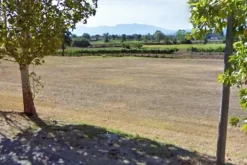 #12686 Terreno commerciale e per servizi pubblici