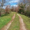 #25914 Terreno con ex cava dismessa di 6470 mq