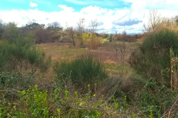 #25914 Terreno con ex cava dismessa di 6470 mq