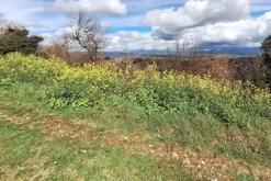 #25914 Terreno con ex cava dismessa di 6470 mq