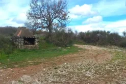 #25914 Terreno con ex cava dismessa di 6470 mq