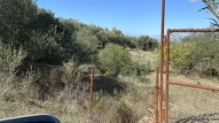 Terreno con olivi e pozzo a Dolianova, Sardegna