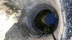 Terreno con olivi e pozzo a Dolianova, Sardegna