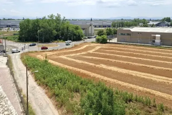 #2639736 Terreno di completamento residenziale