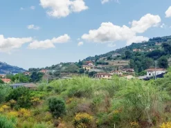 #21182 Terreno edificabile artigianale 4.933 mq