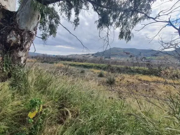 #15829 Terreno edificabile artigianale di 18.345 mq