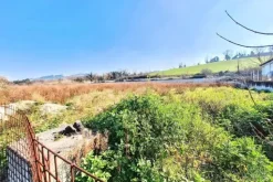 #25506 Terreno edificabile di 13.347 mq