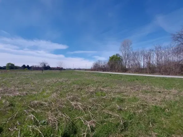 #23487 Terreno edificabile di 8170 mq