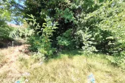 #24118 Terreno edificabile in zona di ampliamento