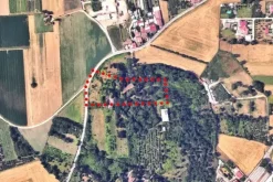#2638549 Terreno edificabile per attività turismo e sport