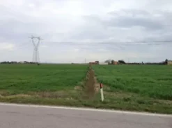 #18510 Terreno edificabile produttivo e agricolo