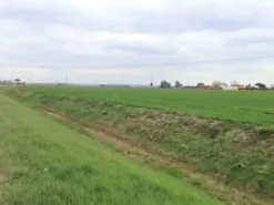 #18510 Terreno edificabile produttivo e agricolo