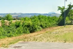 #2537333 Terreno industriale e in fascia di rispetto