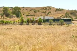 #2638243 Terreno in periferia produttiva commerciale