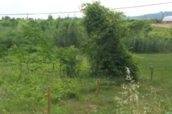 #4833 Terreno per attrezzature e impianti sportivi