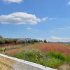 #2516000 Titoli PAC 2023-2027