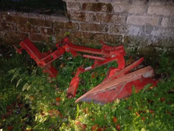 1#9718 Trattore agricolo Same Delfino 35 e accessori