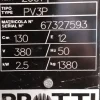 Tricotosa rectilinea Protti PV3P