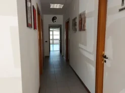 #20499 Uffici e negozio
