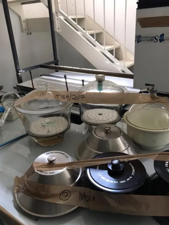 5#3483 Ultrafreezer Angelantoni Polar ed Essiccatori Pyrex.