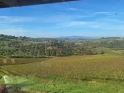 #25798 Vendesi Attività di Albergo 3* con Ristorante e Tabaccheria a Cerreto Guidi (FI)